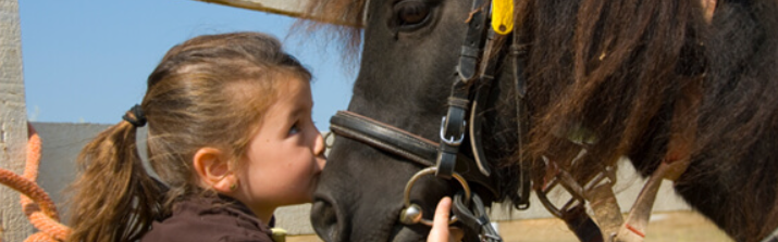 Child with a pony at Cherry Grove Stables